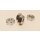 Mutter M10x22 mm, für geschlossene 8" Vespa Felge für Vespa 125 VNB3-6T/150 VBB1T 71001->VBB2T